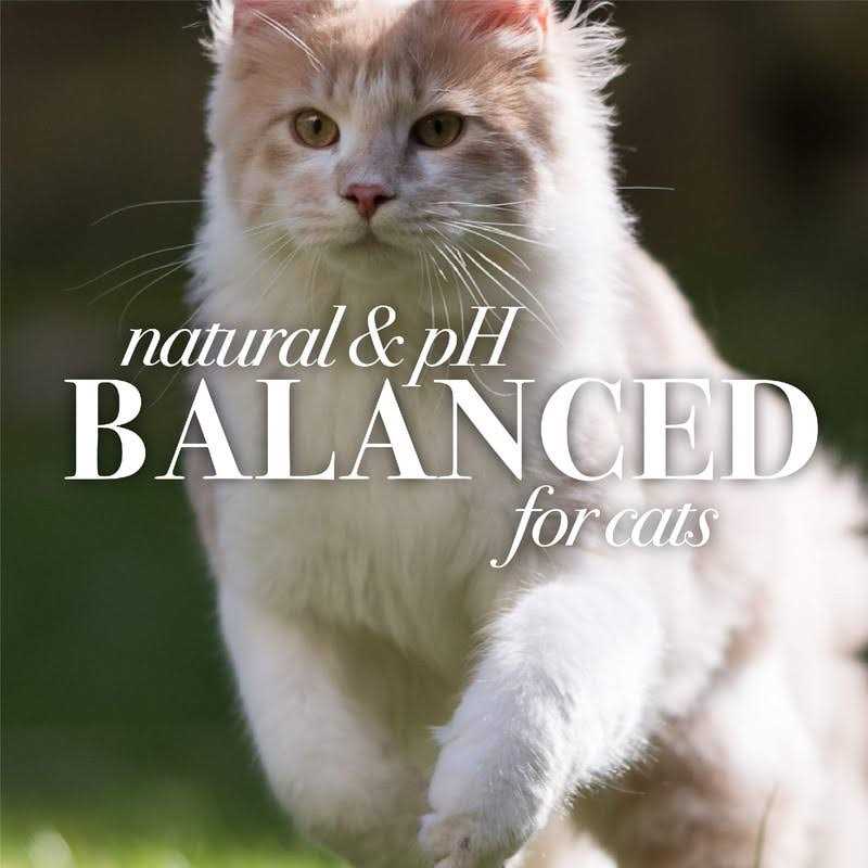 Hypoallergenic Cat Shampoo C566