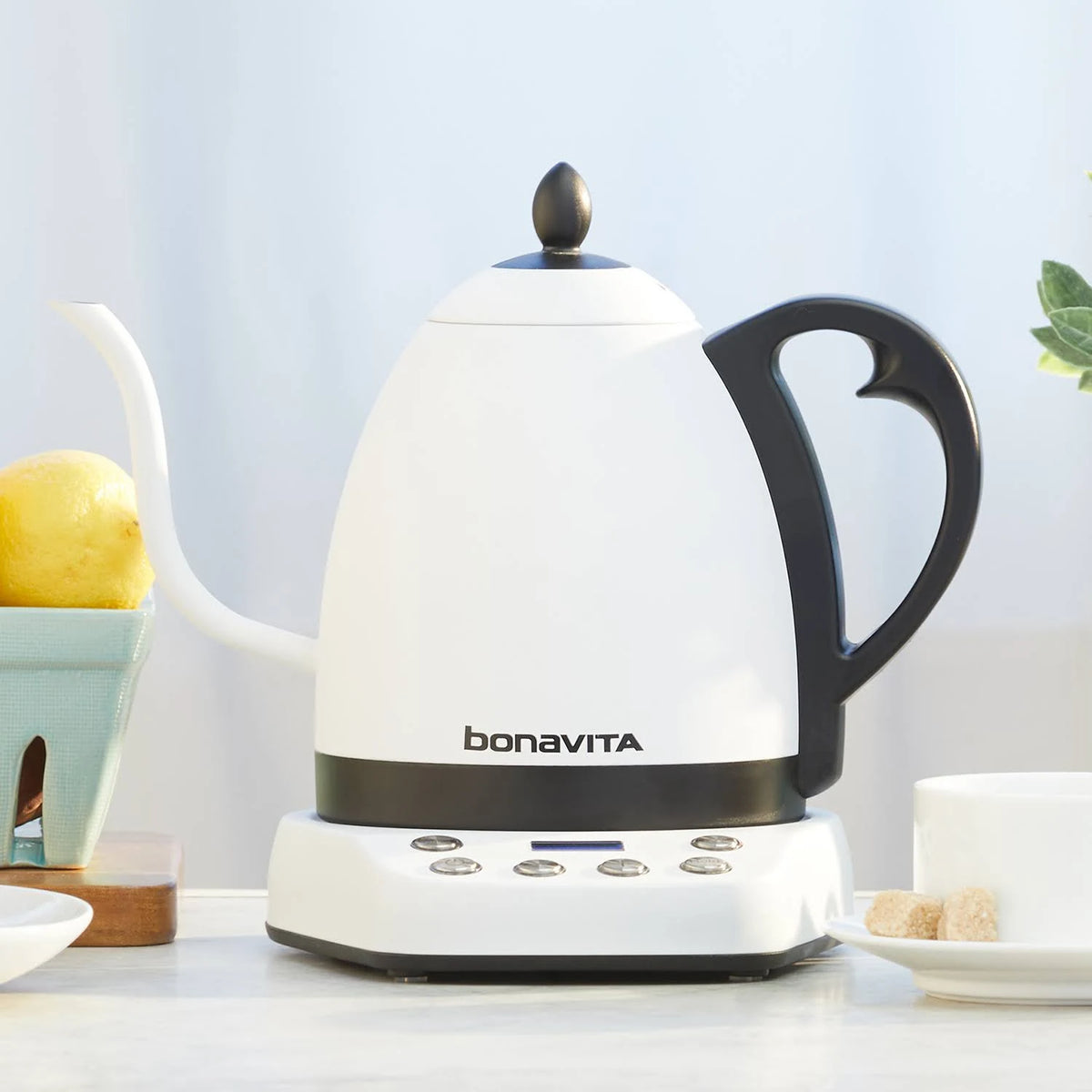 1L Variable Temperature Kettle V8839