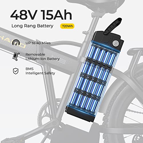 750W Brushless Motor Foldable Electric Bike with 48V 15/20AH Battery H8276