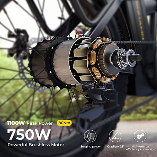 750W Brushless Motor Foldable Electric Bike with 48V 15/20AH Battery H8276