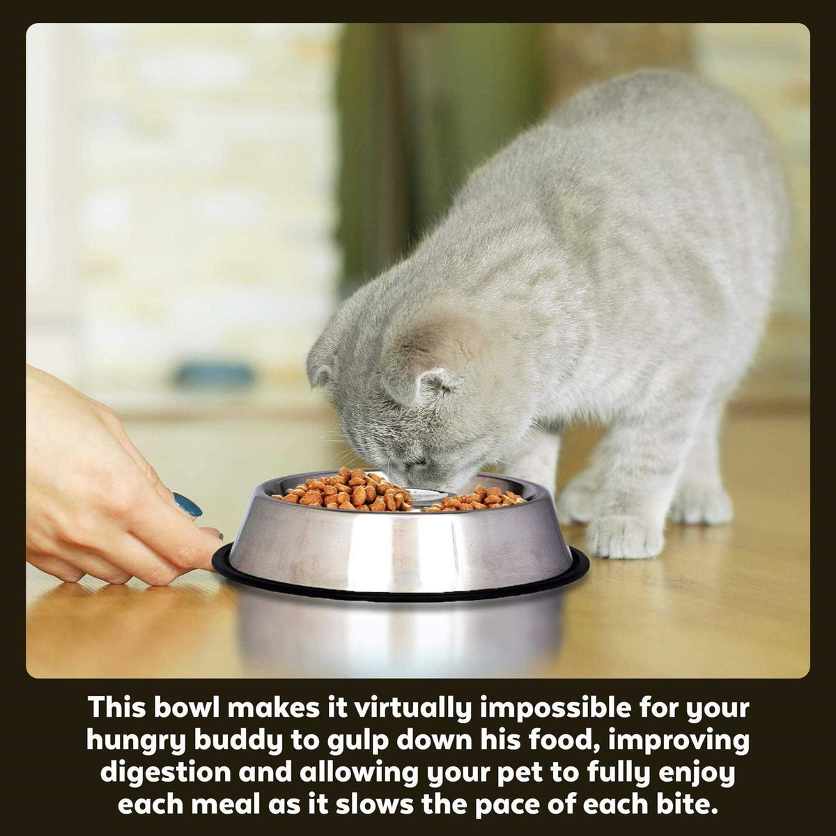 Stainless Steel Slow Feed Pet Bowl U72344