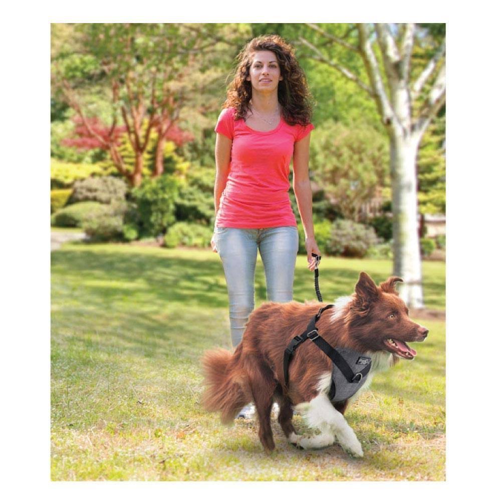 X-Large No Pull Dog Harness Leash Seat Belt P28340