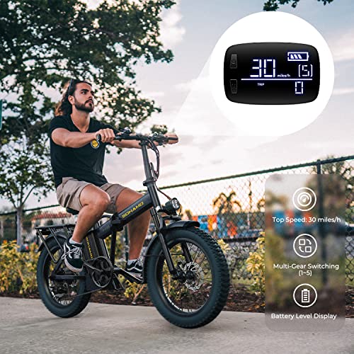 750W Brushless Motor Foldable Electric Bike with 48V 15/20AH Battery H8276