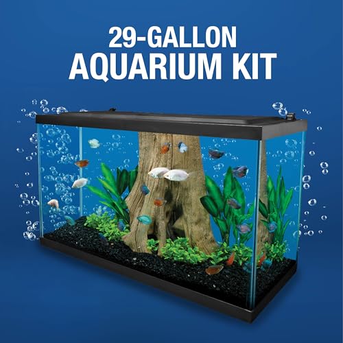 29 Gallons LED Aquarium Q148796