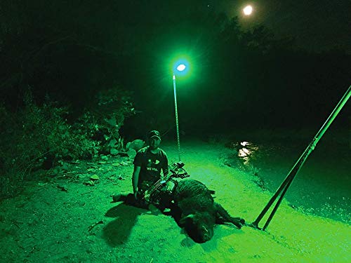 Motion Activated Feeder Light with Remote Control O715300
