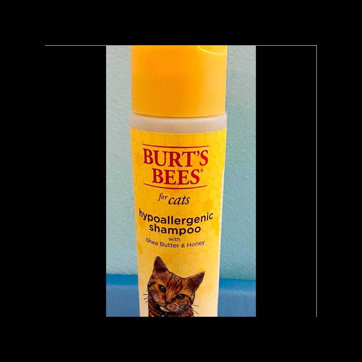 Hypoallergenic Cat Shampoo C566