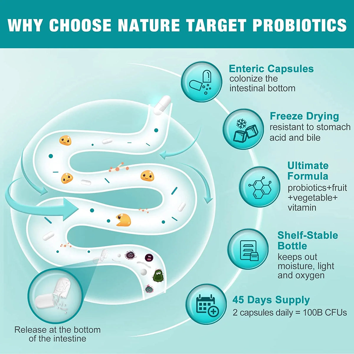90 Veggie Capsules Probiotics K851