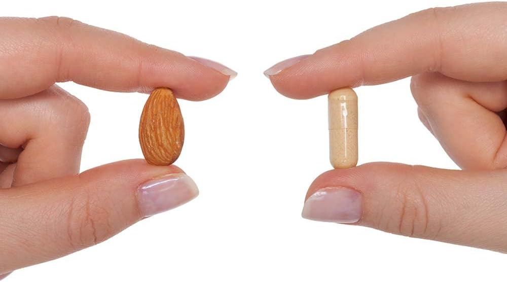 240 Vegetarian Capsules Prenatal Vitamin P3931
