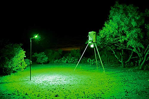 Motion Activated Feeder Light with Remote Control O715300
