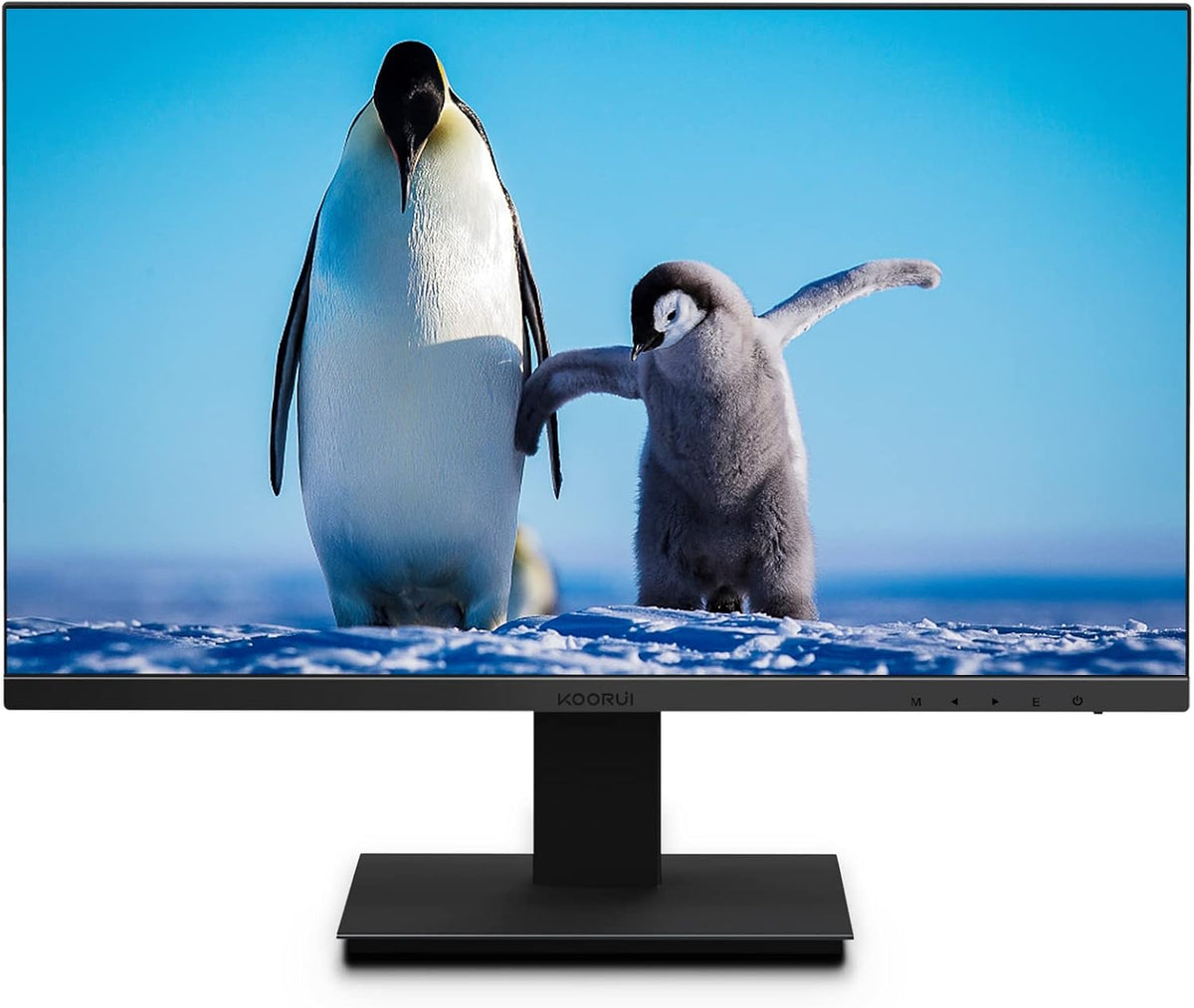 24 inch IPS FHD 1080p 75Hz LED Computer Monitor Q293