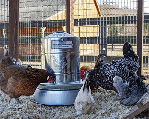 Chicken Waterer Heated Base W60823
